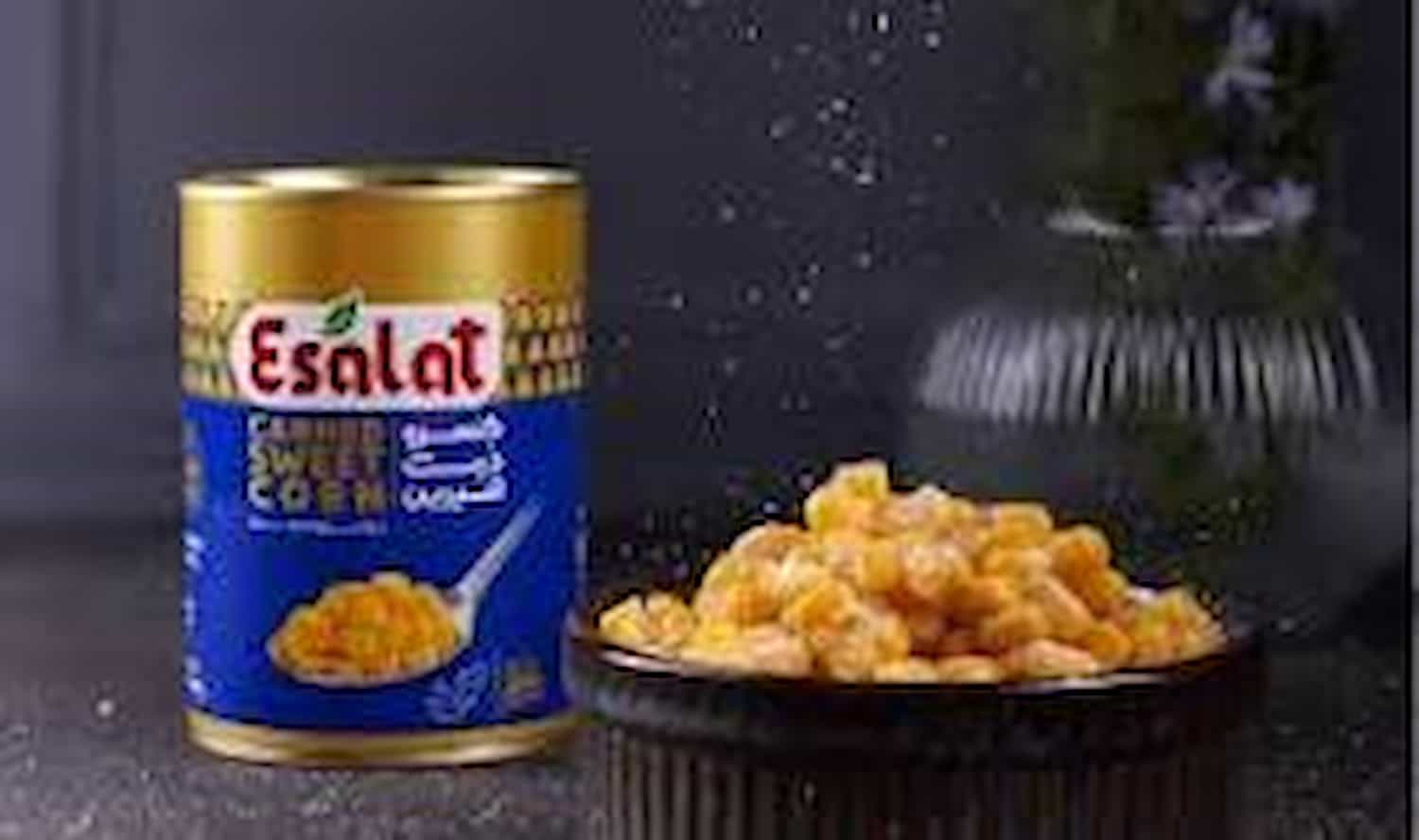 کنسرو ذرت شیرین اصالت با کیفیت مطلوب و عطر طبیعی ذرت